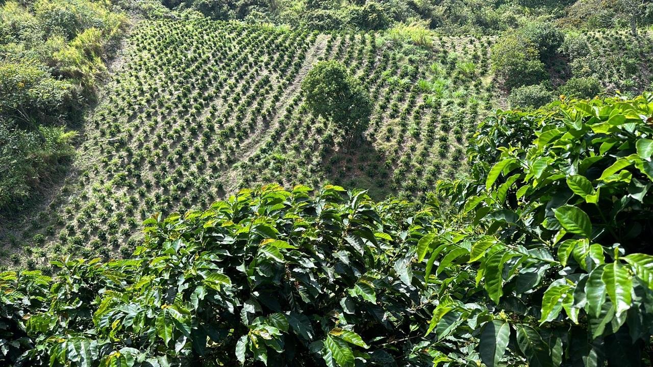 Altas Montañas